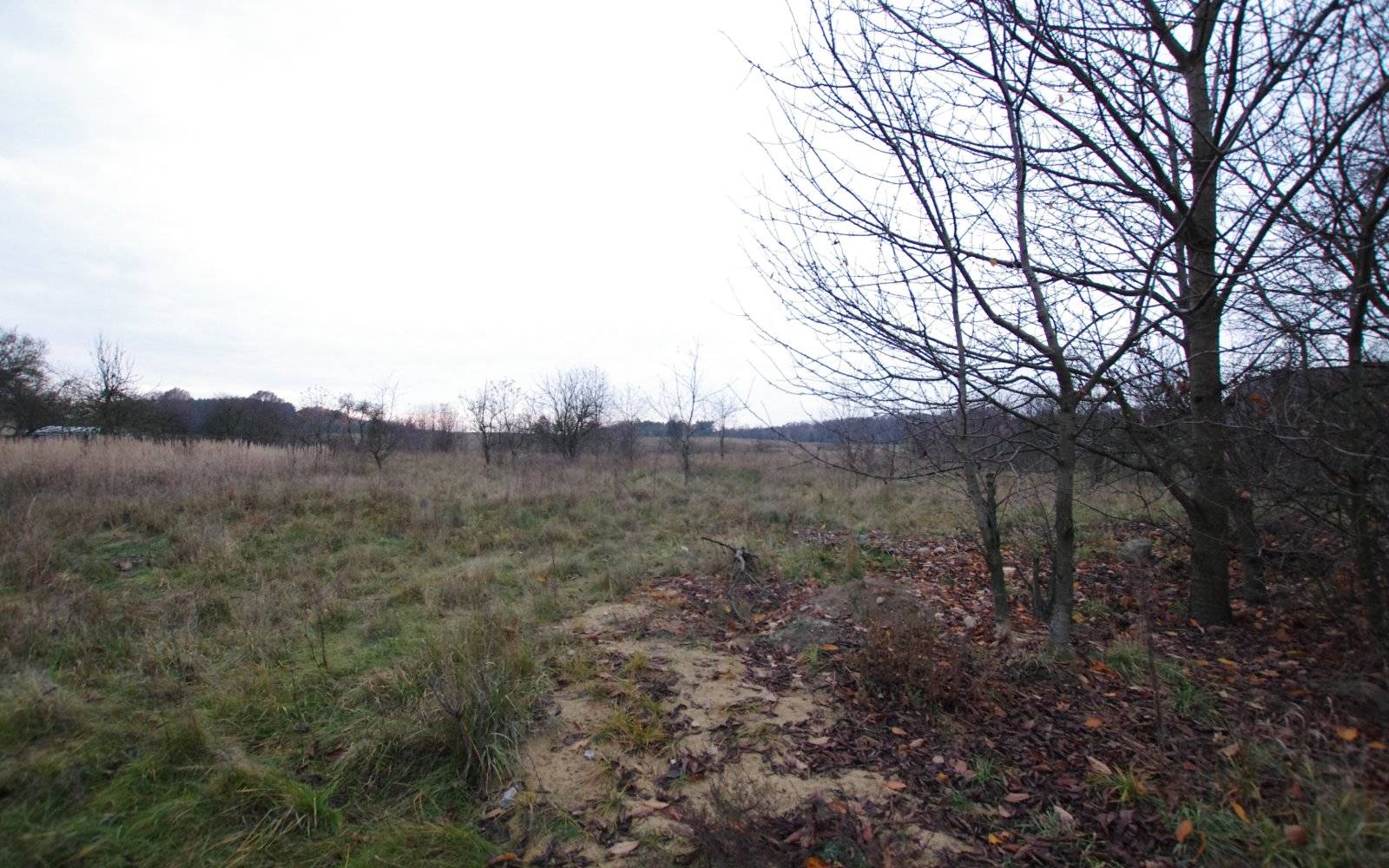 Mleczno Na Sprzedaz Mleczno 1940 00 M2 Sprzedaz 1940m2 1948 2l