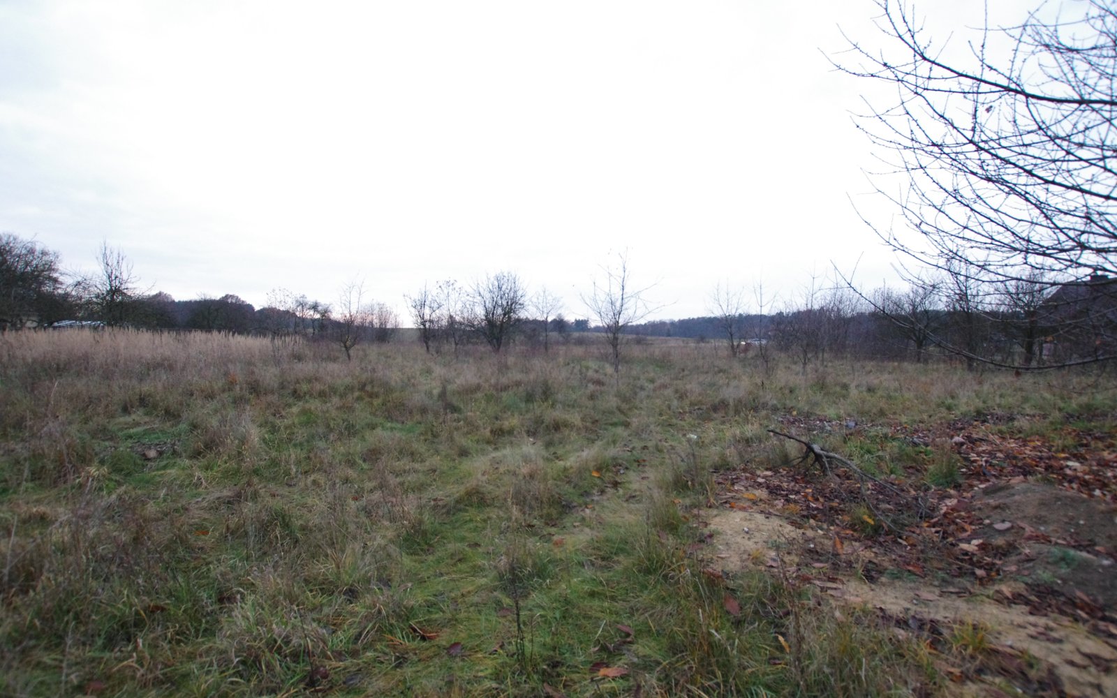 Mleczno Na Sprzedaz Mleczno 1940 00 M2 Sprzedaz 1940m2 1948 3l