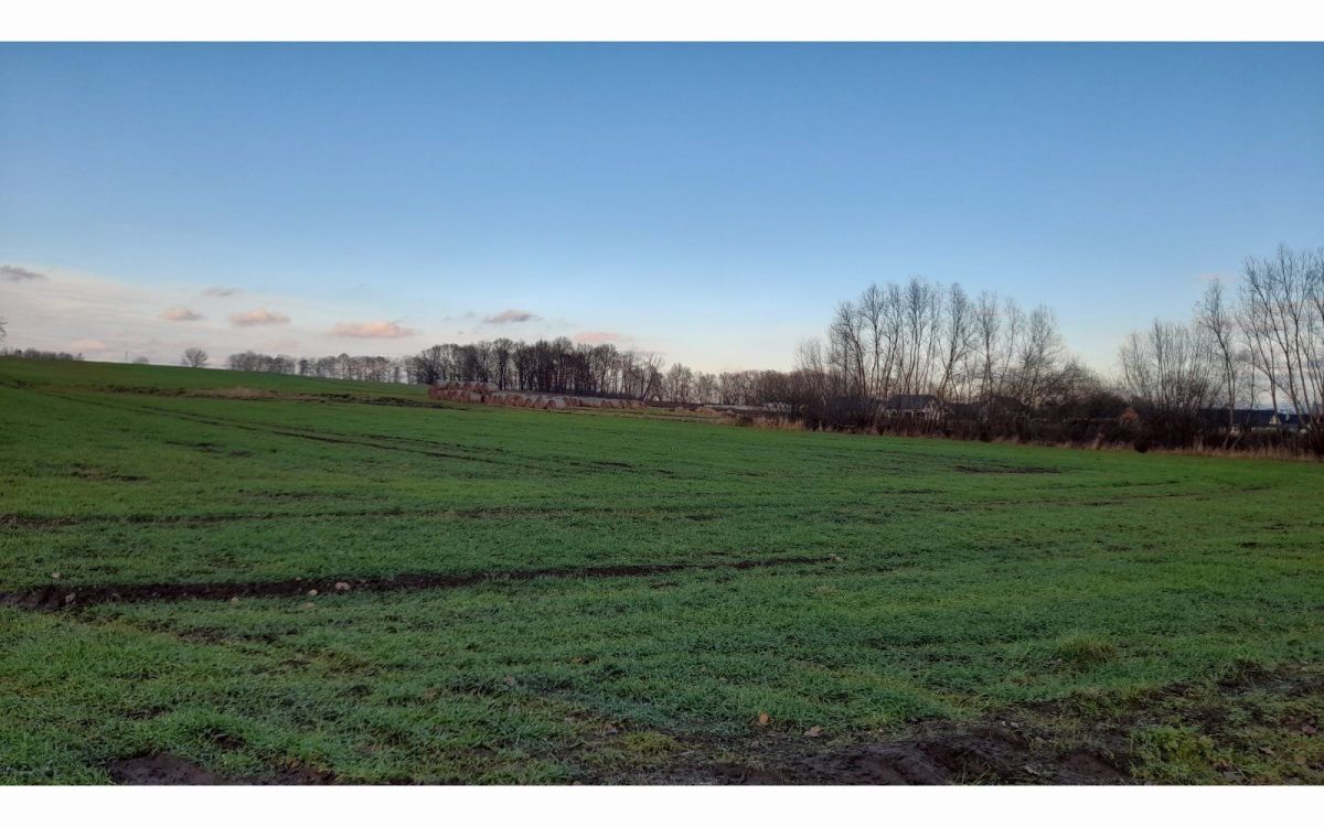 Krzeczyn Wielki Dzialki Ol 10 Arow Lubin Krzeczyn Wielki Sprzedaz 1000m2 2011 1l