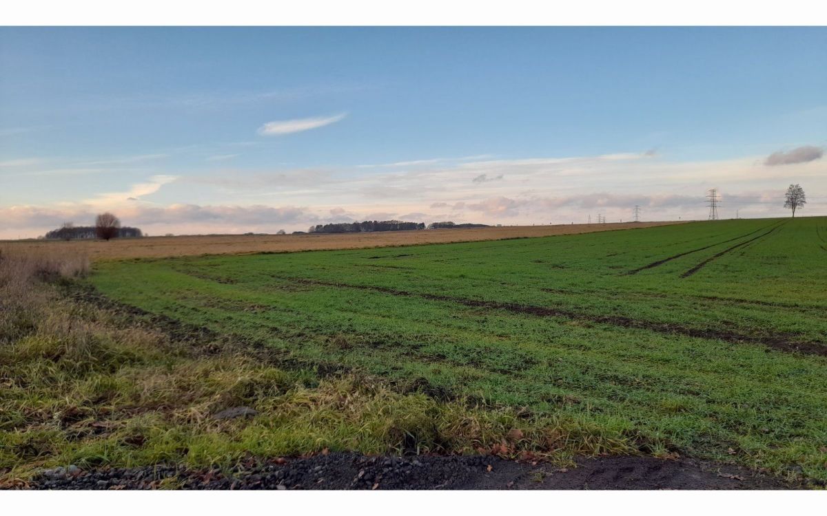 Krzeczyn Wielki Dzialki Ol 10 Arow Lubin Krzeczyn Wielki Sprzedaz 1000m2 2011 2l