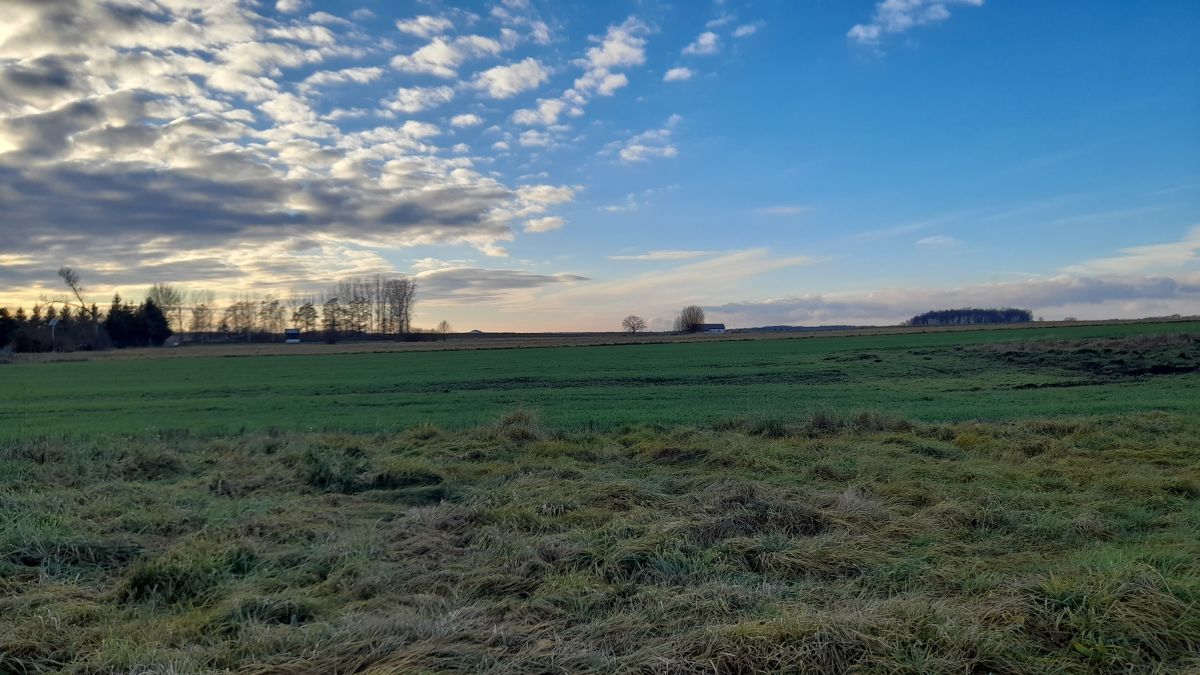 Krzeczyn Wielki Dzialki Ol 10 Arow Lubin Krzeczyn Wielki Sprzedaz 1000m2 2011 3l