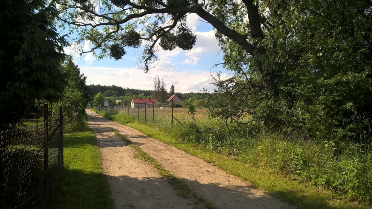 Jary Dzialka Budowlana 1398 M2 Jary Sprzedaz Sprzedaz 1398m2 2116 4l